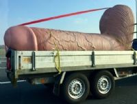 2017�¹���ŵ������չerofame���ʻ���ͼƬ23