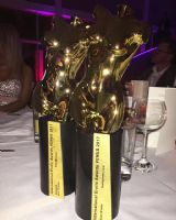 2017�¹����ֳ���չչ�󱨵�--�佱����ͼƬ19