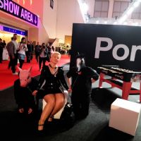 2017�¹����ֳ���չչ�󱨵�--����SMͼƬ34