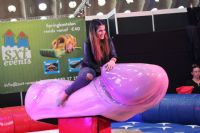 2017����ʱ÷���׳���չ�������ǵ�ʢ��ͼƬ18