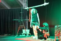 2017����ʱ÷���׳���չ�������ǵ�ʢ��ͼƬ25