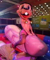 2017����ʱ÷���׳���չ�������ǵ�ʢ��ͼƬ30