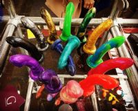 2017�¹���ŵ������չerofame��չ��ҵ2ͼƬ46