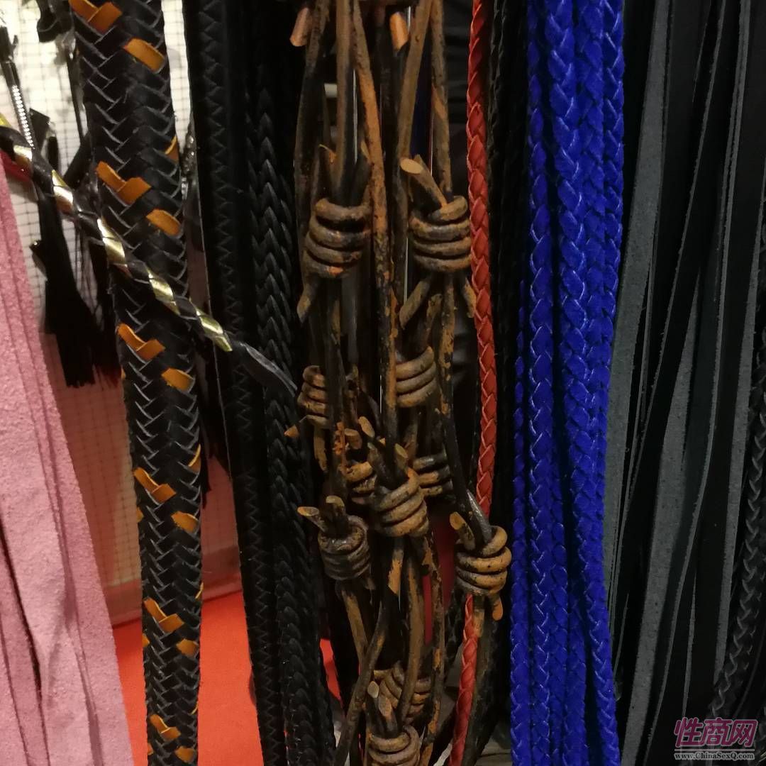 SM鞭很有质感