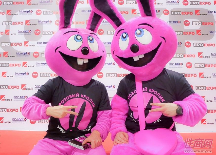 一对桃色兔子玩偶