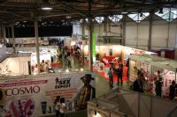 ս�����弤�����޵�ȼ2016����˹����չͼƬ39