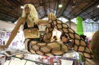 ս�����弤�����޵�ȼ2016����˹����չͼƬ40