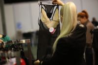 ս�����弤�����޵�ȼ2016����˹����չͼƬ23