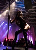 2017�����ڵ���֧����չ�Ըи�������ʴ��ͼƬ25