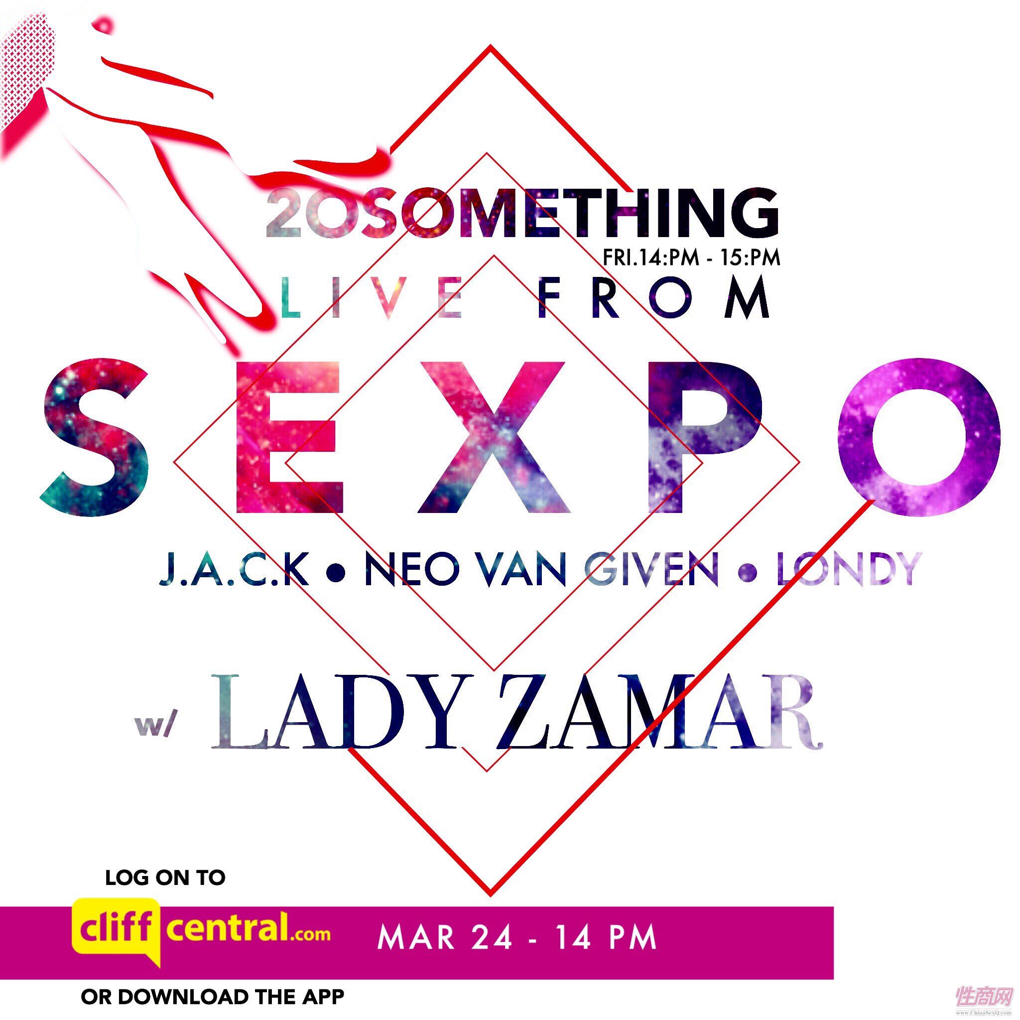 2017南非约翰内斯堡成人展——展会现场图片13