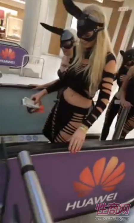 2017南非约翰内斯堡成人展——展会现场图片14