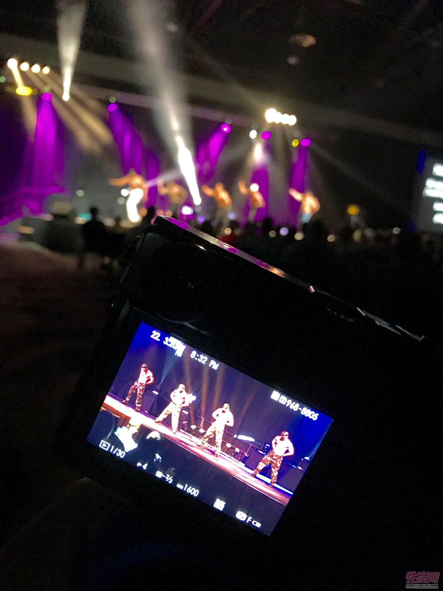 2017南非约翰内斯堡成人展——精彩表演图片5