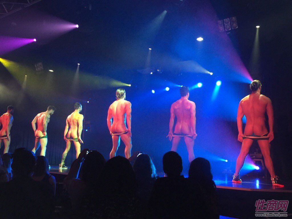 2017南非约翰内斯堡成人展——精彩表演图片16