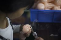 ̽����Ȥ��Ʒ��������ʮ����Ů�����ճ�