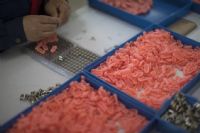 ̽����Ȥ��Ʒ��������ʮ����Ů�����ճ�ͼƬ4