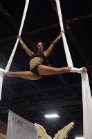 2013�����͵´�������չ�����Ըж�����ͼƬ36