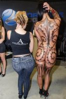 ��������Ӱ�ǲ�չ2013�����͵´�������չ(2)ͼƬ14