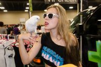 ��������Ӱ�ǲ�չ2013�����͵´�������չ(1)ͼƬ19