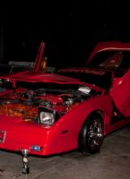 2011��������������չeXXXotica�㳵��ŮͼƬ29