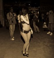 2011��������������չeXXXotica��չӰ��ͼƬ64