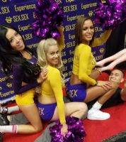 2017������˹ά��˹����չ��̨���ݾ��ʷ׳�ͼƬ4