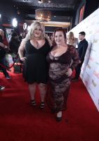 2017������˹ά��˹����չ�佱�����̺��(1)ͼƬ37