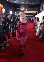 2017������˹ά��˹����չ�佱�����̺��(2)ͼƬ55