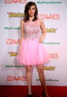 2017������˹ά��˹����չ�佱�����̺��(3)ͼƬ64