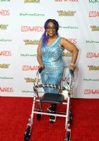 2017������˹ά��˹����չ�佱�����̺��(5)ͼƬ88