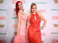 2017������˹ά��˹����չ�佱�����̺��(6)ͼƬ39