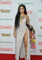 2017������˹ά��˹����չ�佱�����̺��(8)ͼƬ9