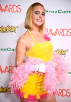 2017������˹ά��˹����չ�佱�����̺��(8)ͼƬ30