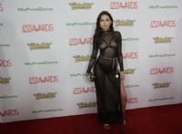 2017������˹ά��˹����չ�佱�����̺��(8)ͼƬ140