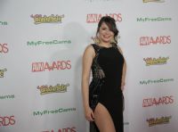 2017������˹ά��˹����չ�佱�����̺��(9)ͼƬ4