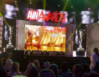 2017������˹ά��˹����չ�佱����(2)ͼƬ21