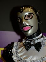 2017������˹ά��˹����չAVN���������ͼƬ6