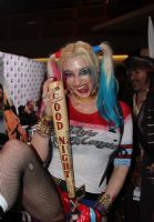 2017������˹ά��˹����չAVN���������ͼƬ13