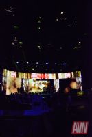 2017������˹ά��˹����չ�佱�������ͼƬ22