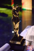 2017������˹ά��˹����չ�佱�������ͼƬ29