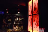 2017������˹ά��˹����չ�佱�������ͼƬ4