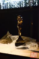 2017������˹ά��˹����չ�佱�������ͼƬ7