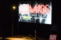 2017������˹ά��˹����չ�佱�������ͼƬ6