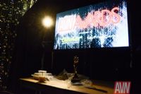 2017������˹ά��˹����չ�佱�������ͼƬ8