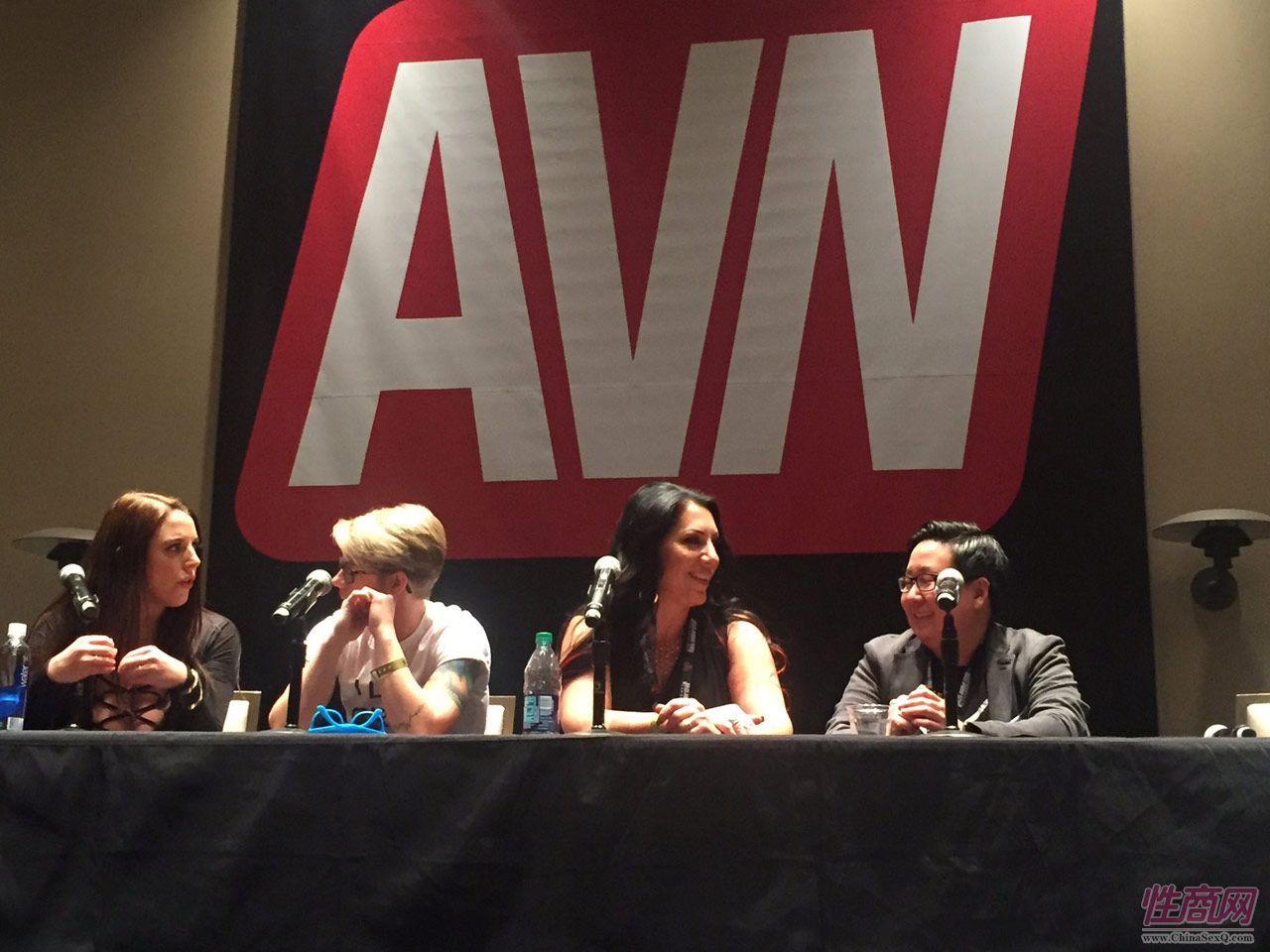 2017������˹ά��˹����չ������������̳