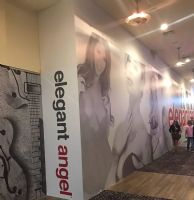 2017������˹ά��˹����չչ���ֳ���2��ͼƬ21