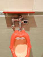 2017������˹ά��˹����չFleshlight�ɶ�ͼƬ6