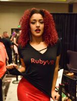 2017������˹ά��˹����չ������ʵVR������ͼƬ7