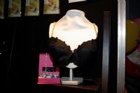 2008�Ĵ����ǰ������³���չsexpo��չ��ҵͼƬ39