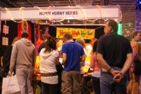 2008�Ĵ����ǰ������³���չsexpoչ���ֳ�ͼƬ20