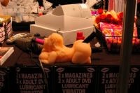 2008�Ĵ����ǰ������³���չsexpoչ���ֳ�ͼƬ28